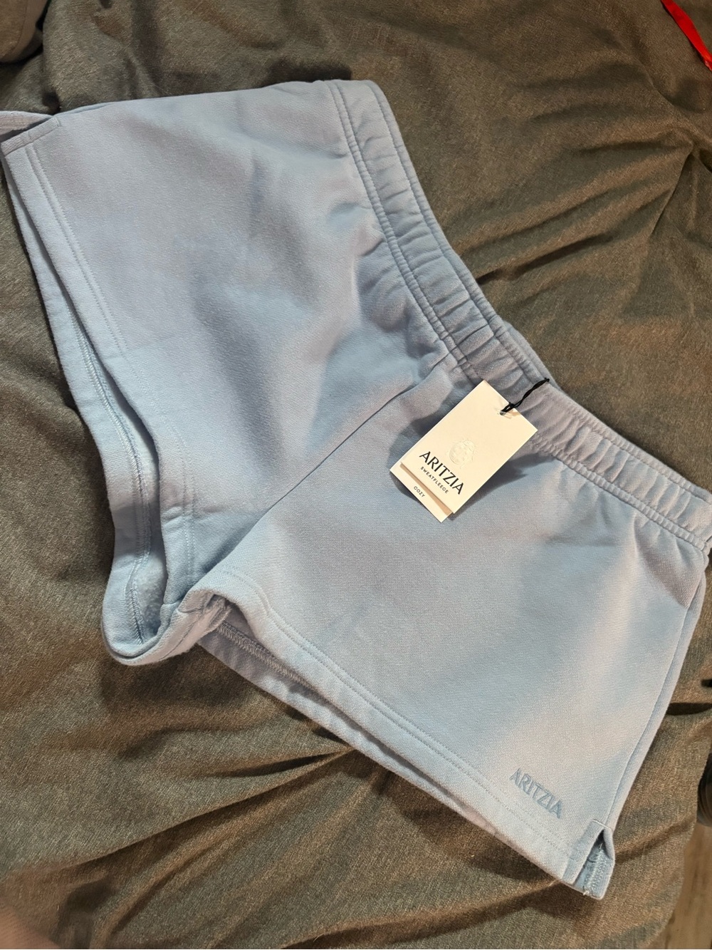 Aritzia Pale Blue Fleece Athletic Shorts